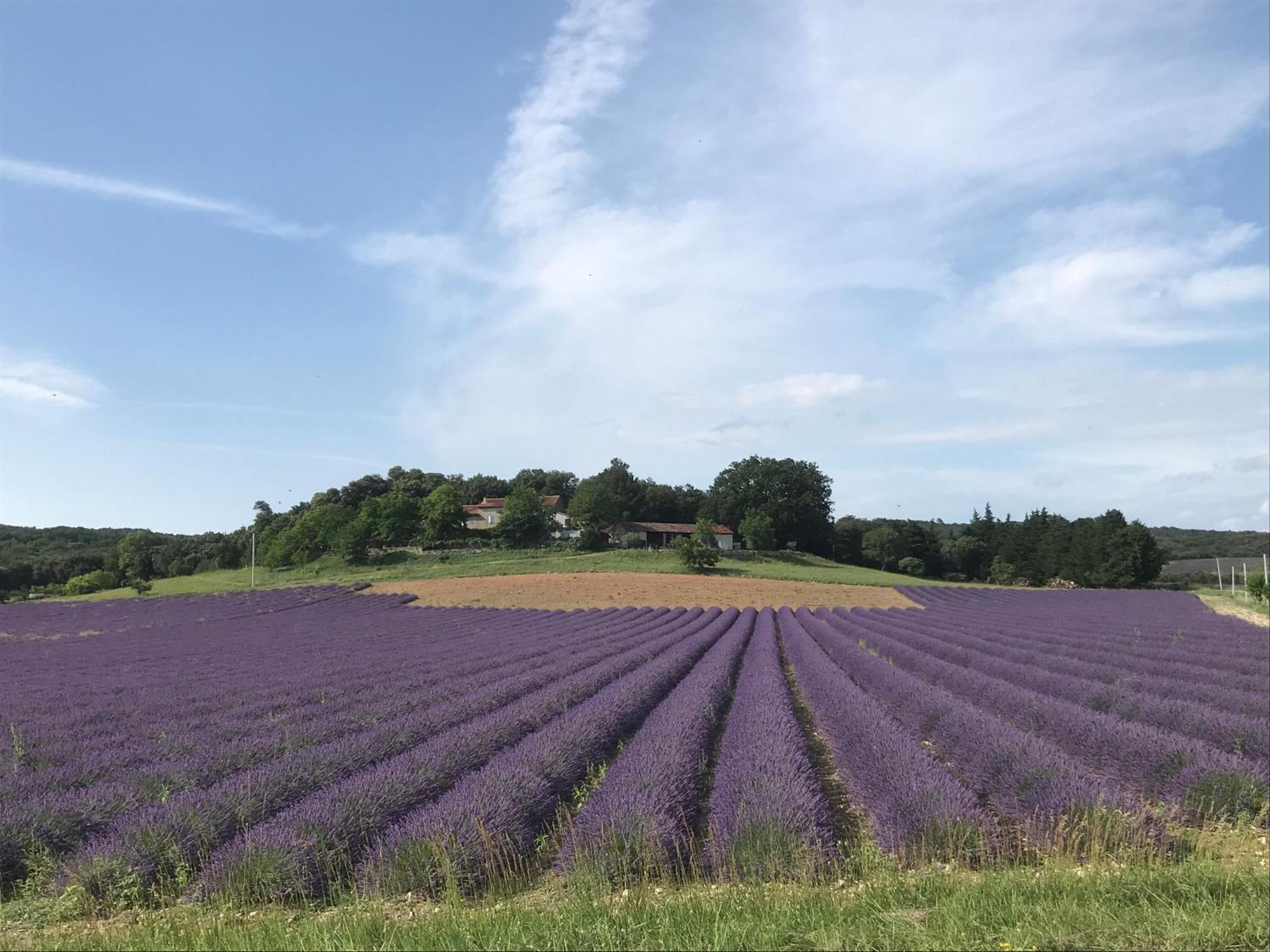 Le Figuier Appartement Tulette Buitenkant foto