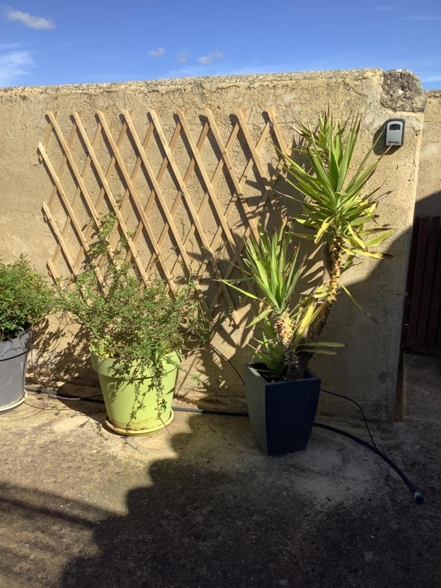 Le Figuier Appartement Tulette Buitenkant foto